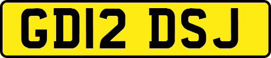 GD12DSJ
