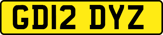 GD12DYZ
