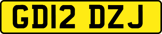 GD12DZJ