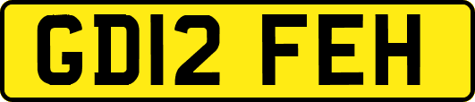GD12FEH