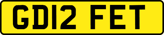 GD12FET