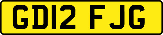 GD12FJG