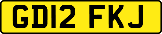 GD12FKJ