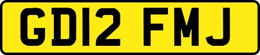 GD12FMJ
