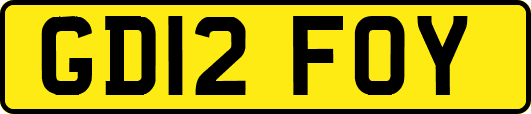 GD12FOY