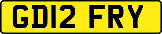 GD12FRY