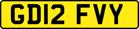 GD12FVY