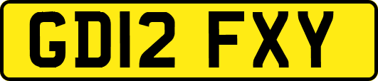 GD12FXY