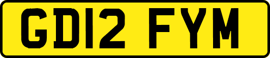 GD12FYM