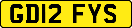GD12FYS