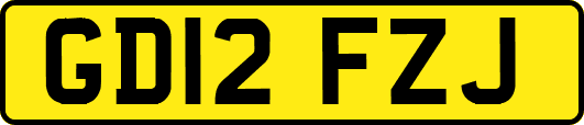 GD12FZJ