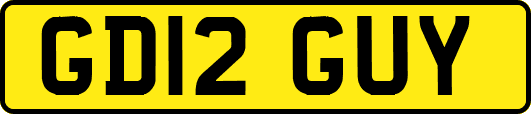 GD12GUY
