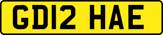 GD12HAE
