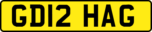 GD12HAG
