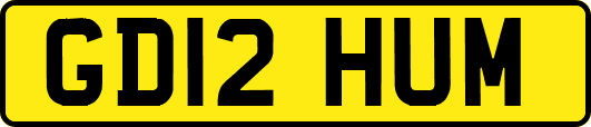 GD12HUM