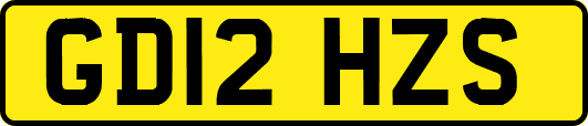 GD12HZS