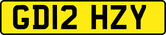GD12HZY