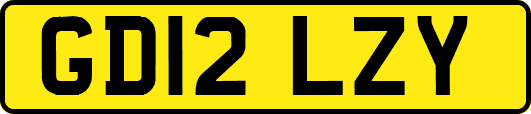 GD12LZY
