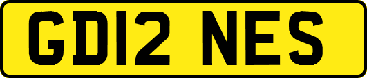 GD12NES