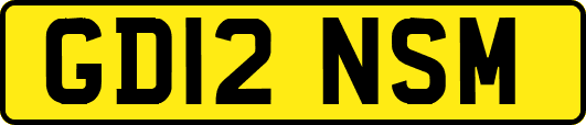 GD12NSM
