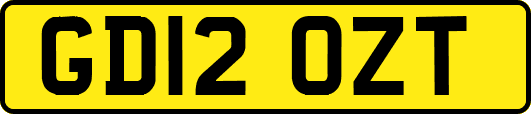 GD12OZT