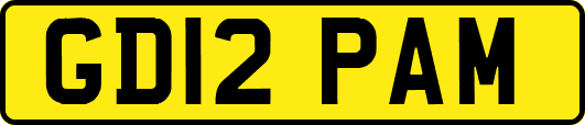 GD12PAM