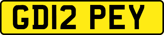 GD12PEY
