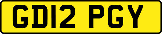 GD12PGY