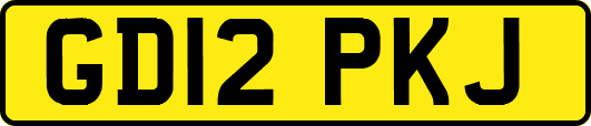 GD12PKJ