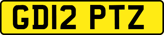 GD12PTZ