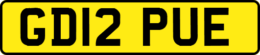 GD12PUE