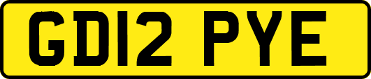 GD12PYE