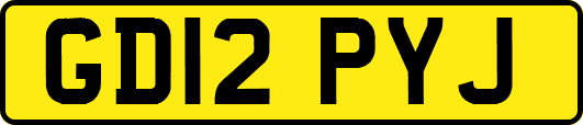 GD12PYJ