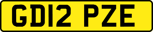 GD12PZE