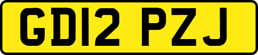 GD12PZJ