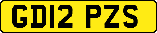 GD12PZS