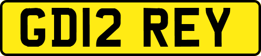 GD12REY