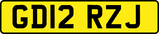 GD12RZJ