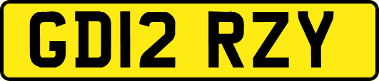 GD12RZY