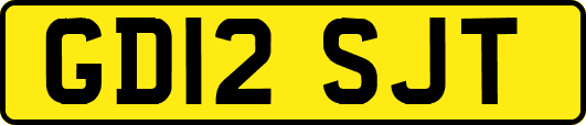 GD12SJT