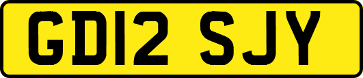 GD12SJY
