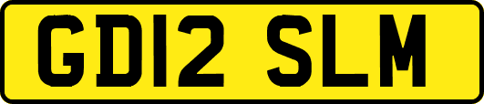 GD12SLM