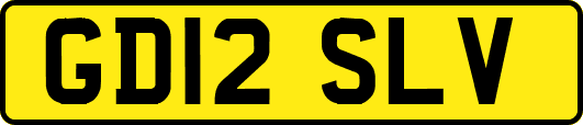 GD12SLV