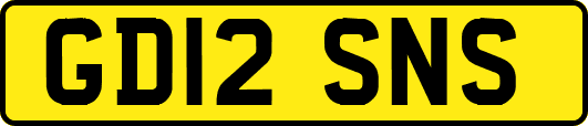 GD12SNS