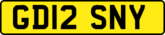 GD12SNY