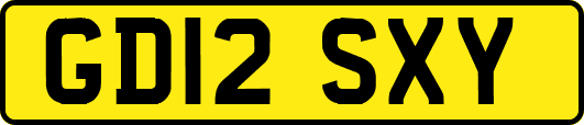 GD12SXY