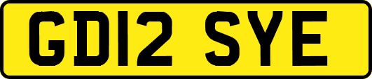 GD12SYE
