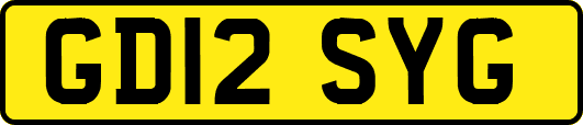 GD12SYG