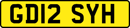 GD12SYH