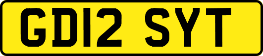GD12SYT